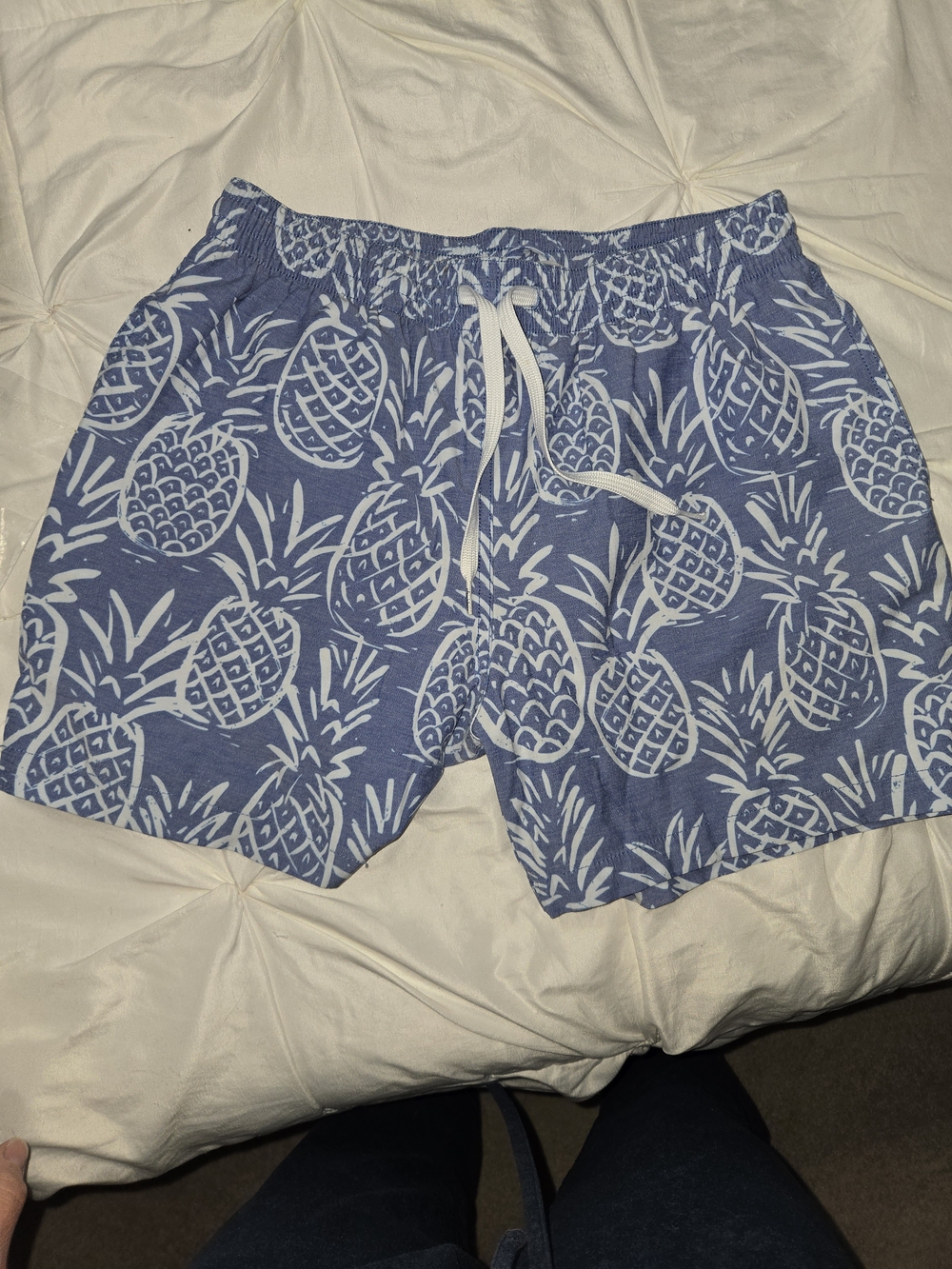 chubbies Blue Pineapple Swim Shorts